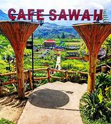 CAFE SAWAH PUJON